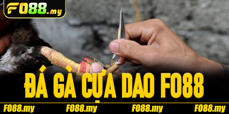 Đá Gà Cựa Dao Fo88